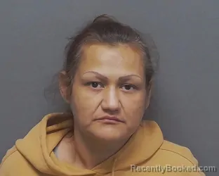 Mugshot of LETICIA F RUIZ