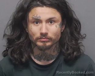 Mugshot of DONOVAN BENAVIDES