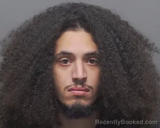 Mugshot of NICOLAS CINTRON
