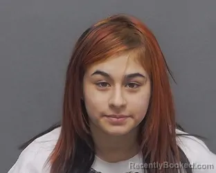 Mugshot of LEANN PEREZ
