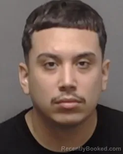 Mugshot of CHARELY PALACIOS