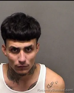Mugshot of BRANDON C GONZALES
