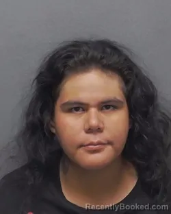 Mugshot of PRISCILLA Y RAMIREZ