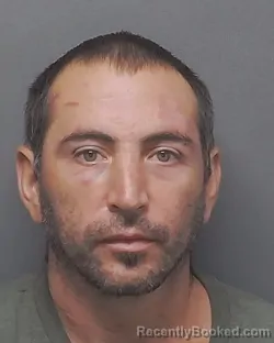 Mugshot of REYNA C RODRIGUEZ