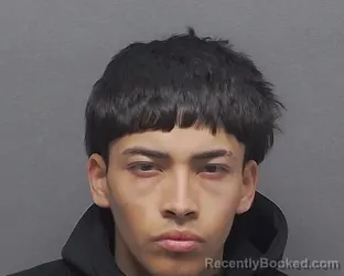 Mugshot of LUIS M HERNANDEZ