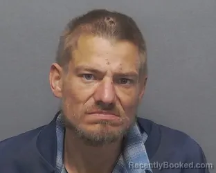 Mugshot of MICHAEL L WALENTIN
