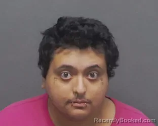 Mugshot of JOSEPH C PIERRE