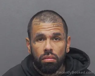 Mugshot of LUIS A CONTRERAS