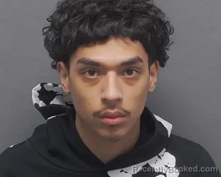 Mugshot of JERAMY MONTERO