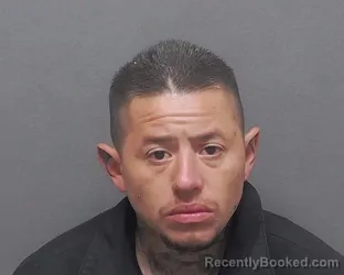 Mugshot of JUAN NIERA