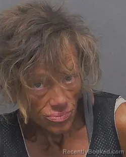 Mugshot of THERESA GOINGS