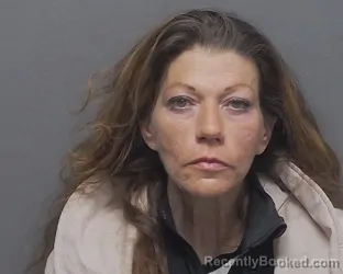 Mugshot of DENISE R TREVINO