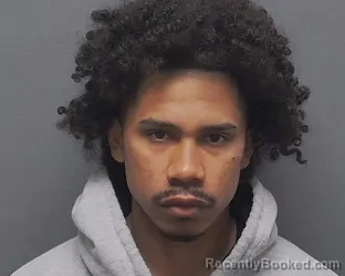 Mugshot of ROMANDO C CHADES