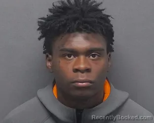 Mugshot of JOSHUA E JOHNSON