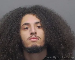 Mugshot of NICOLAS CINTRON