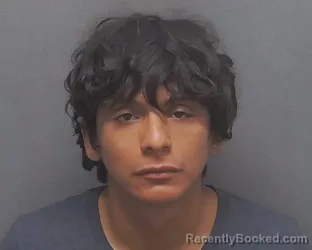 Mugshot of LEONEL ORTIZ