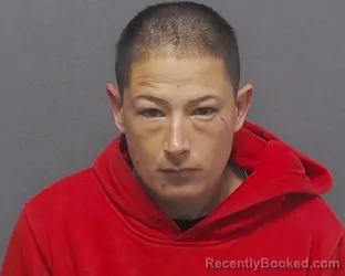 Mugshot of NADINE N SAENZ