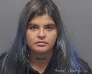 Mugshot of DANIELA I BUSTOS