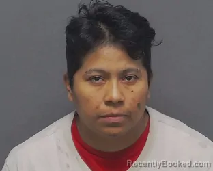 Mugshot of BELEN F CISNEROS