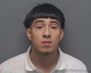 Mugshot of CARLOS E LEDESMA