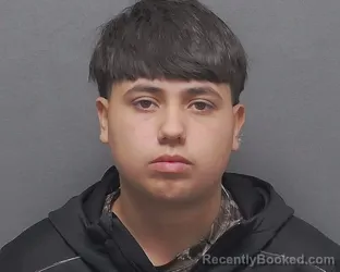 Mugshot of ISAEL SALINAS