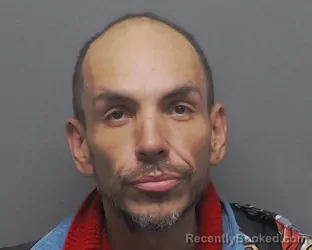 Mugshot of RICK LEVINE