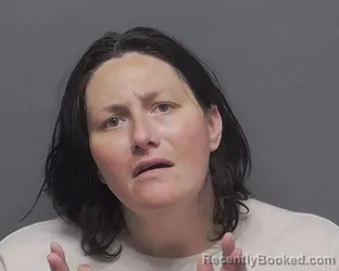 Mugshot of ELIZABETH V WELLS