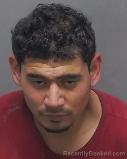 Mugshot of LUIS J MORA