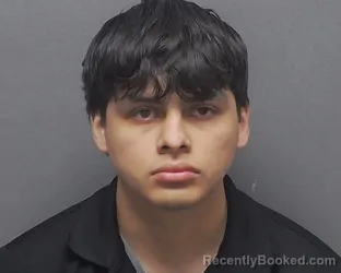 Mugshot of LEONARDO D VILLARREAL