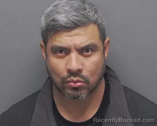 Mugshot of LUIS D OCHOA