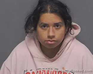Mugshot of BRIANNA N MENDOZA