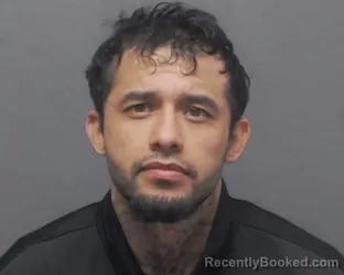Mugshot of JAMES L PEREIDA