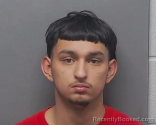 Mugshot of JORDAN PRADO