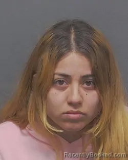 Mugshot of DAYANNA S PARRA RAMIREZ