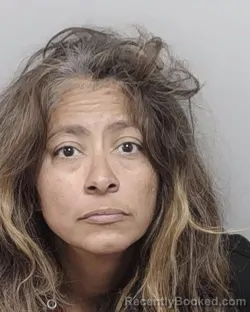 Mugshot of LAMOUR ROMO