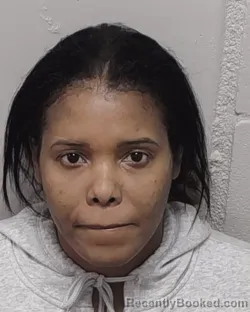 Mugshot of ALINA SILVA ALVAREZ