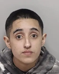 Mugshot of ASHLEE MARIE RODRIGUEZ