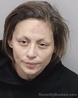 Mugshot of VICTORIA A MIRELES