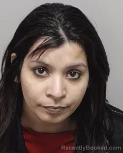 Mugshot of DEMI A MARTINEZ