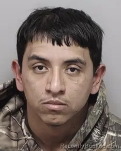 Mugshot of HECTOR I OLIVO