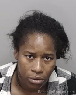 Mugshot of LILLIAN N FONTANEZ