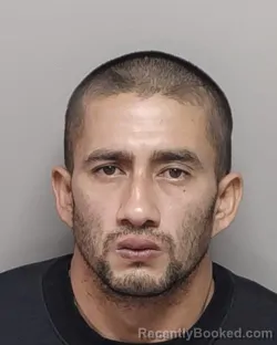 Mugshot of DENIS S MONTES