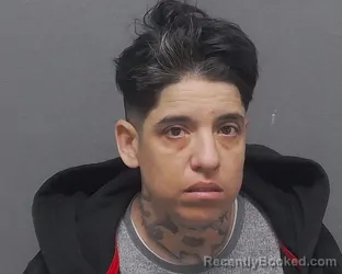 Mugshot of DANA A DIPIETRANTONIO