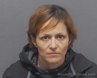 Mugshot of LUISA ESQUIVEL