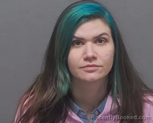 Mugshot of CHRISTOPHER M SHERER