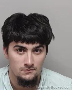 Mugshot of TRAVIS W WHITLEY