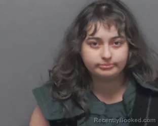 Mugshot of MELINA E OLIVAS