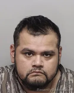 Mugshot of ARTEMIO D JR GARCIA