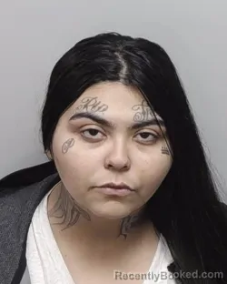 Mugshot of SAVANNAH D KOLTERMANN