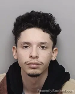 Mugshot of GAVIN R GONZALES